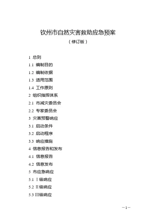 钦州自然灾害救助应急预案
