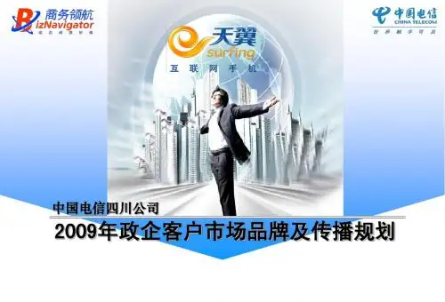 2009年政企客户市场品牌及传播规划(1226)
