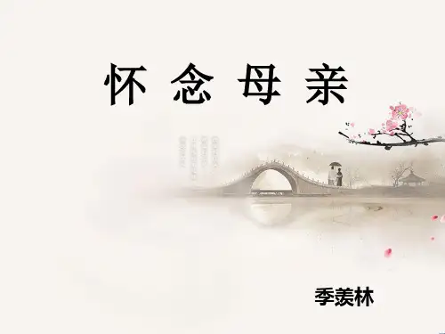 怀念我的母亲