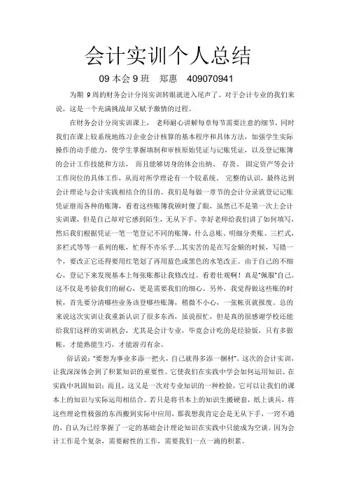 会计实训个人总结