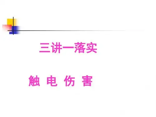 三讲一落实触电-王宁