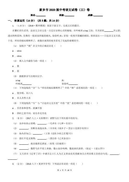 新乡市2020版中考语文试卷(II)卷
