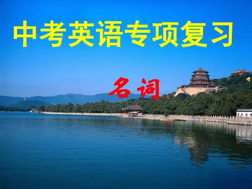 中考英语专项复习名词 ppt课件
