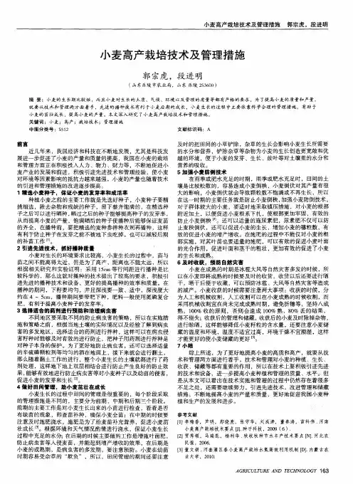 小麦高产栽培技术及管理措施