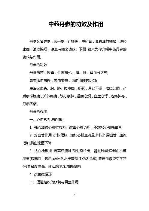 中药丹参的功效及作用