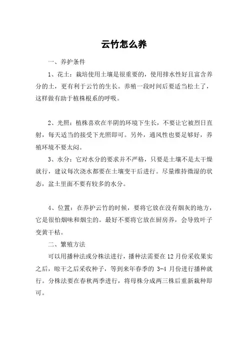 云竹怎么养