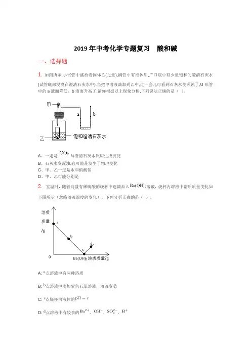 2019年中考化学专题复习  酸和碱