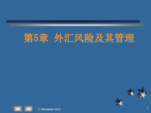 外汇风险(ppt)