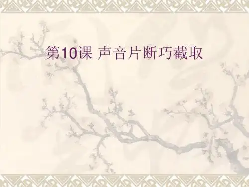 《声音片断巧截取》优质课课件