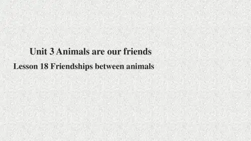 八年级英语下册 unit 3 animals are our friends lesson 18 课件 (新版)冀教版