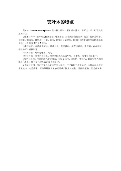 变叶木的特点