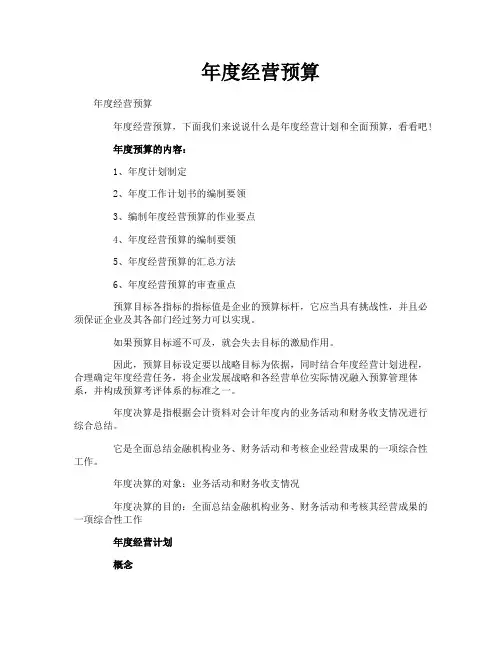 年度经营预算