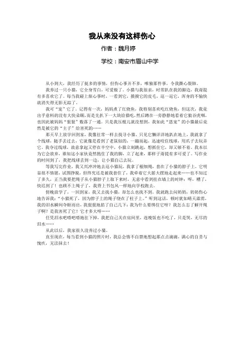 我从来没有这样伤心