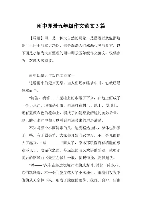 雨中即景五年级作文范文3篇