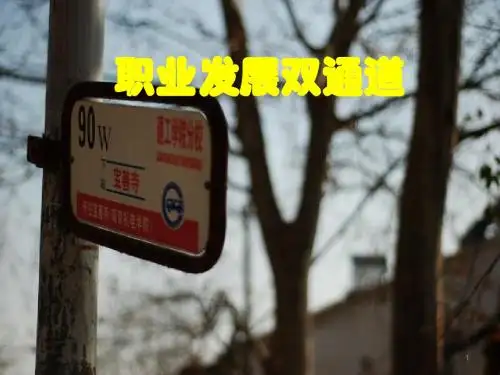 职业发展双通道PPT课件