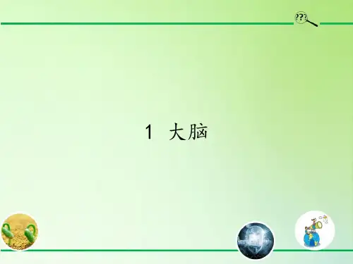五年级科学下册课件大脑苏教版