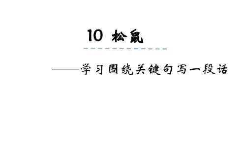 (松鼠)微课案例