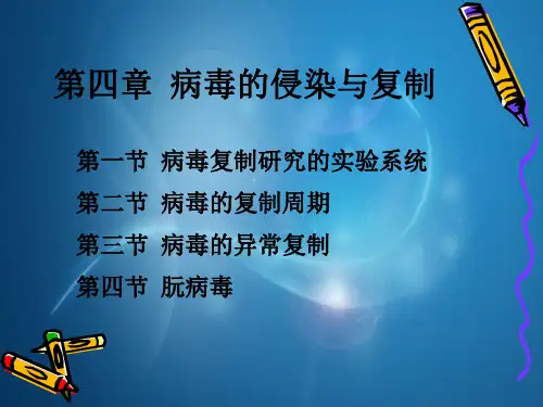 病毒学第四章病毒侵染与复制