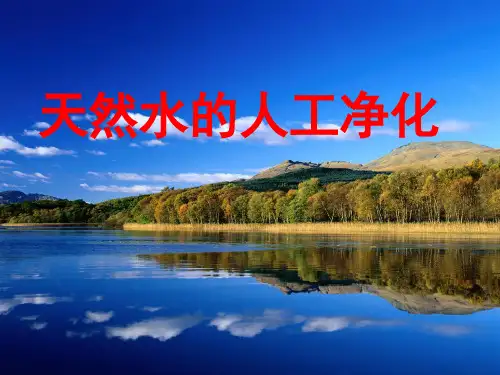 天然水的人工净化.ppt