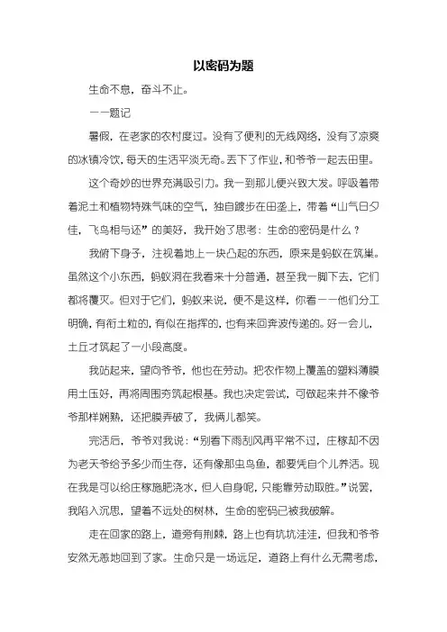 初一作文：以密码为题作文600字