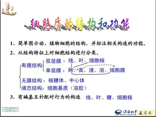 细胞质的结构和功能