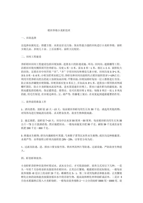 稻田养殖小龙虾技术