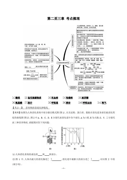 七年级下册生物(人教版)第2-3章 考点梳理