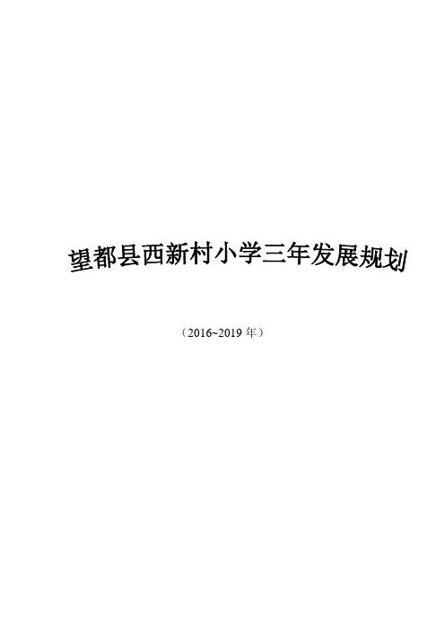 西新村小学三年发展规划