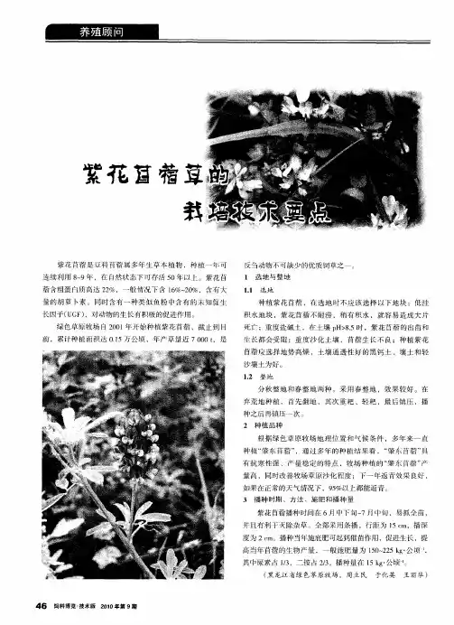 紫花苜蓿草的栽培技术要点
