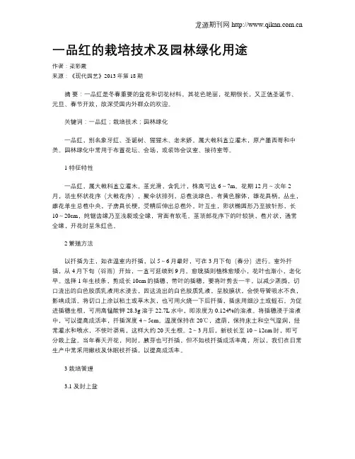 一品红的栽培技术及园林绿化用途
