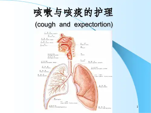 咳嗽与咳痰的护理