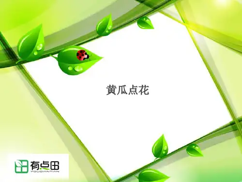 黄瓜点花知识