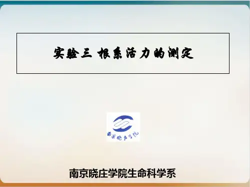 根系活力的测定