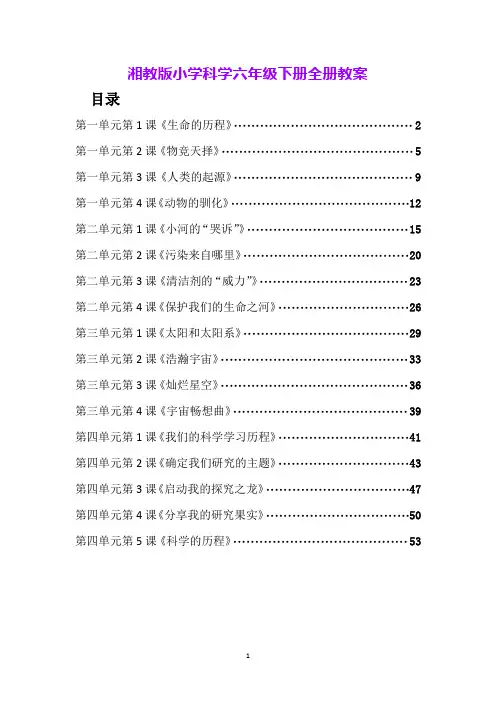 湘教版小学科学六年级下册全册教案