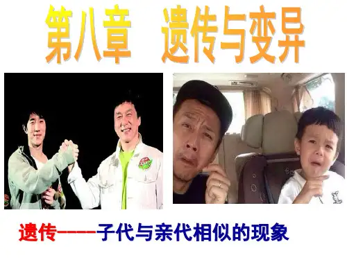 8.1.1遗传规律--分离定律(2017合格)