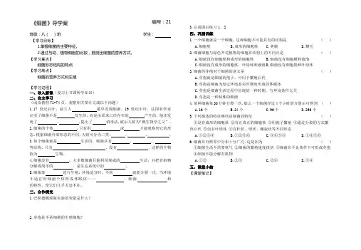 细菌 导学案