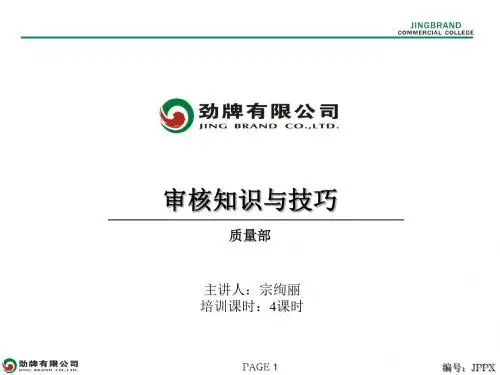 审核知识与技巧