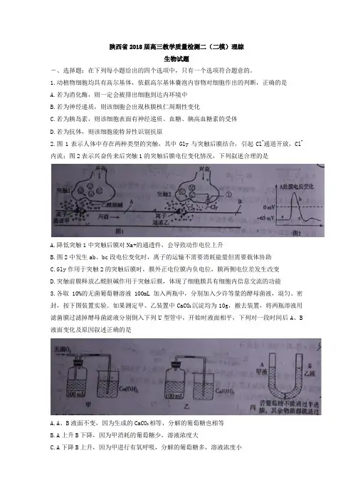 陕西省2018届高三教学质量检测二(二模)理综生物试题Word版含答案