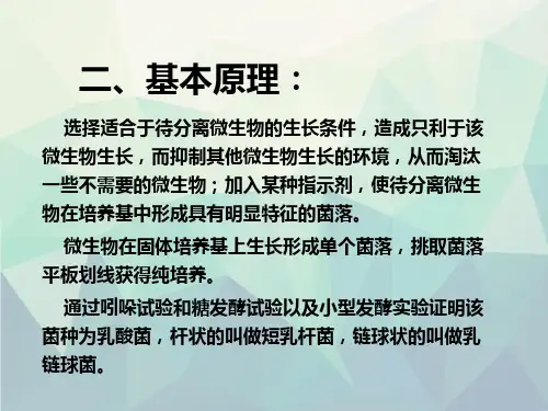 微生物学实验技术乳酸菌的分离与纯化