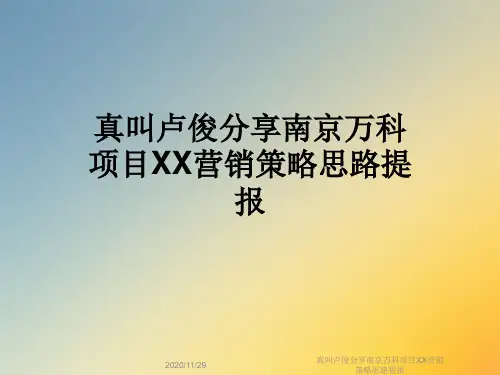真叫卢俊分享南京万科项目XX营销策略思路提报