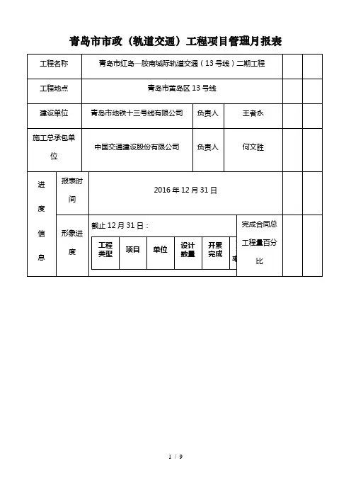 工程项目管理月报表