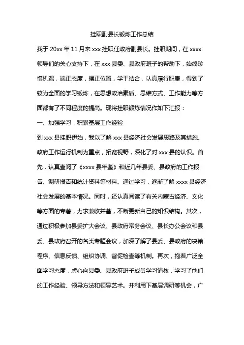 精编挂职副县长锻炼工作总结