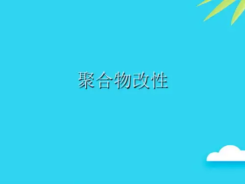 聚合物改性优质PPT资料