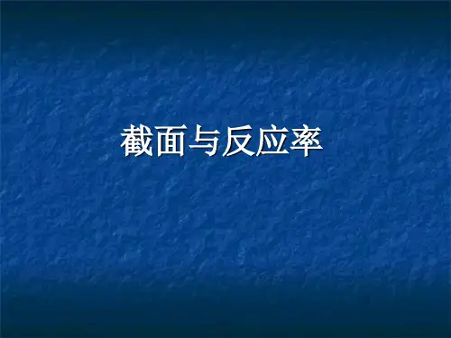 截面与反应率汇总
