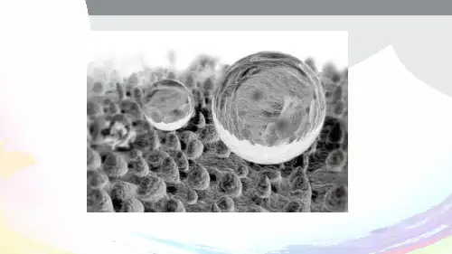 生物医学功能材料