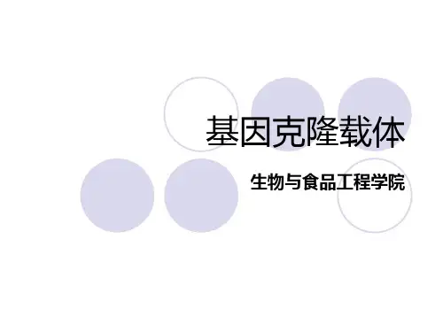 基因克隆载体-噬菌体