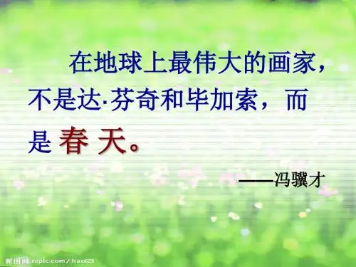 19.花的勇气(完美版)