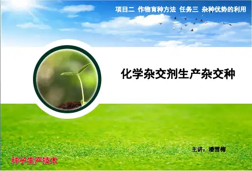 项目二作物育种方法