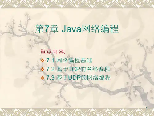 第7章 Java网络编程