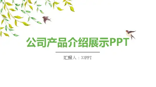 公司产品介绍展示PPT模板